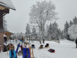 Schneeschuhwanderung Darmstädter Hütte, Januar 2026